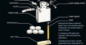 zippo anatomy